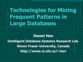 Technologies for Mining Frequent Patterns in Large Databases