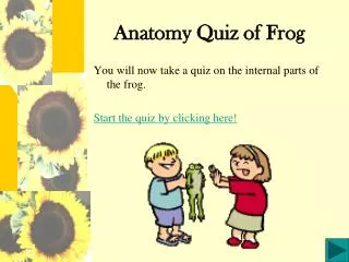 Anatomy Quiz of Frog