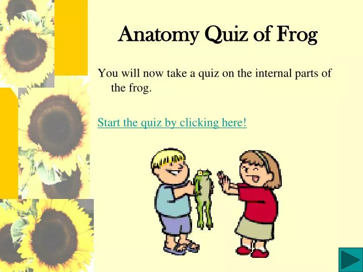 anatomy quiz of frog