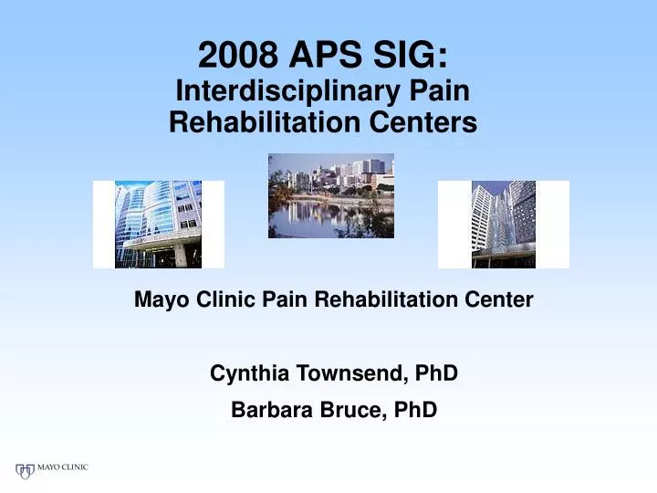 2008 aps sig interdisciplinary pain rehabilitation centers