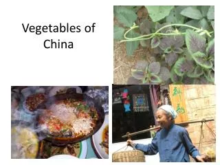 Vegetables of China