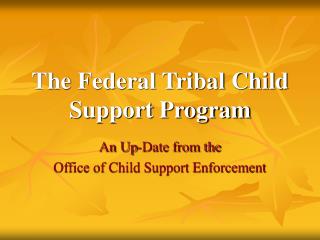 The Federal Tribal Child Support Program