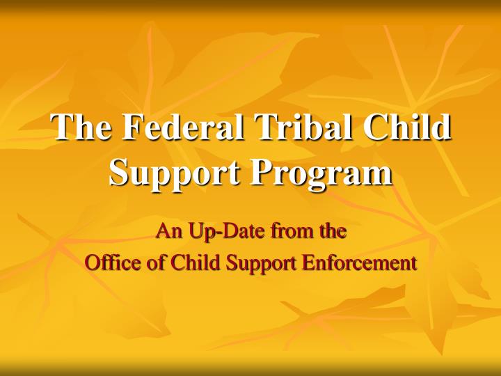 the federal tribal child support program