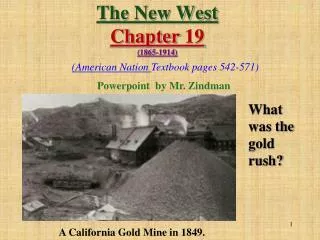 The New West Chapter 19 (1865-1914)