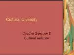 Cultural Diversity - slide 1