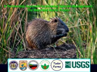 A Partnership Approach to Invasive Species Management: The Maryland Nutria Project