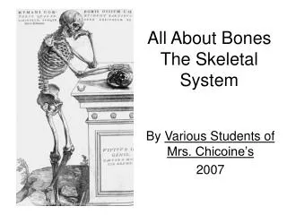 All About Bones The Skeletal System
