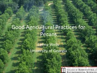 Good Agricultural Practices for Pecans