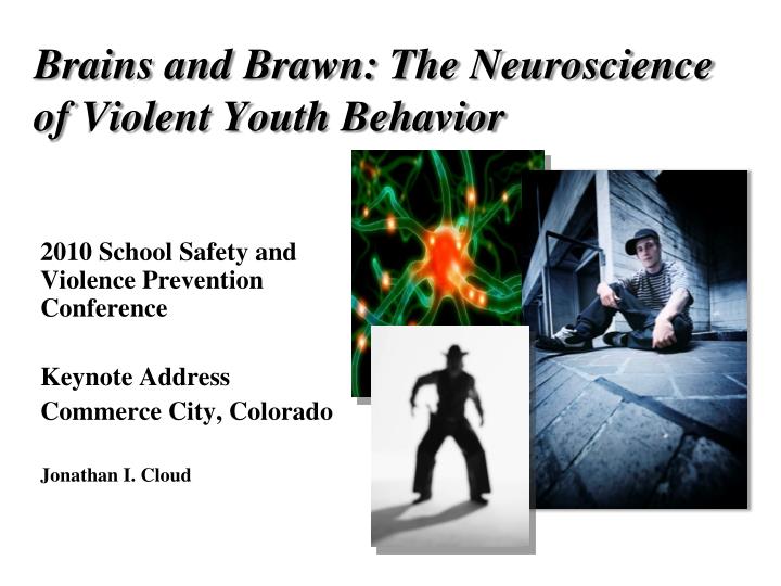 brains and brawn the neuroscience of violent youth behavior
