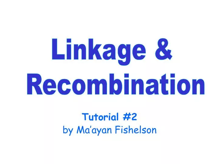 tutorial 2 by ma ayan fishelson