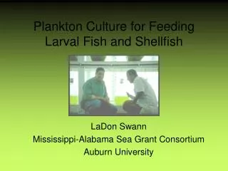Plankton Culture for Feeding Larval Fish and Shellfish
