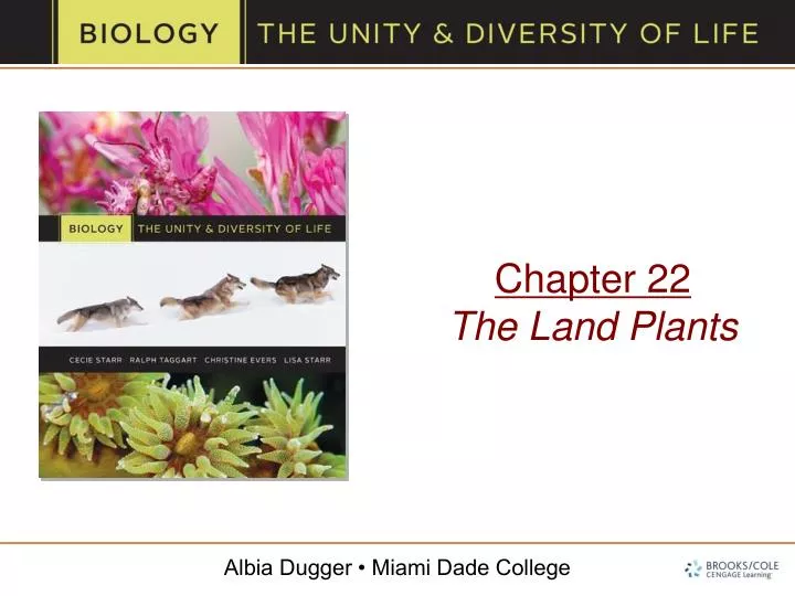 chapter 22 the land plants