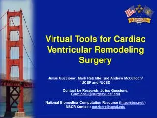 Virtual Tools for Cardiac Ventricular Remodeling Surgery