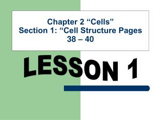 Chapter 2 “Cells” Section 1: “Cell Structure Pages 38 – 40