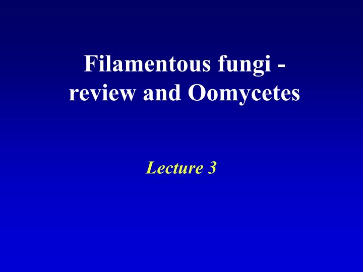 filamentous fungi review and oomycetes