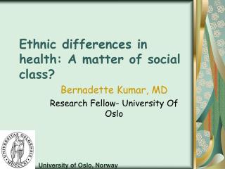 Ethnic differences in health: A matter of social class?