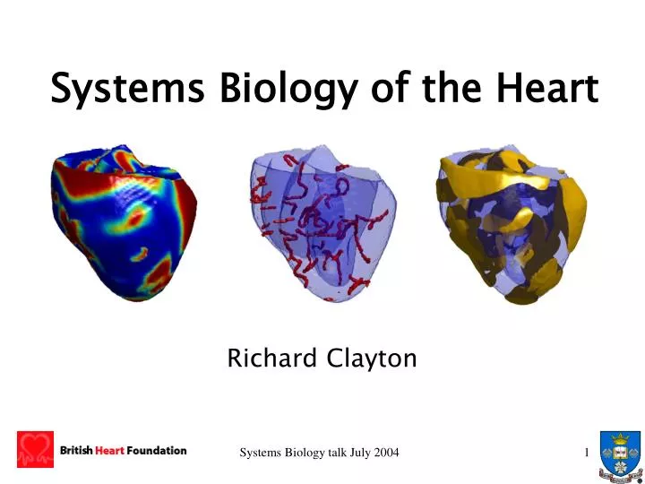 systems biology of the heart