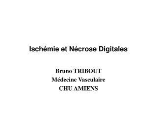 isch mie et n crose digitales