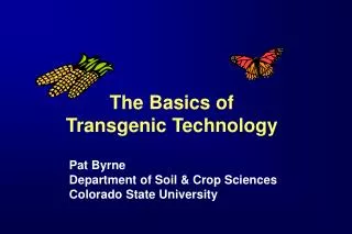 The Basics of Transgenic Technology