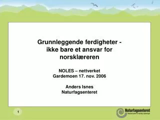 Grunnleggende ferdigheter - ikke bare et ansvar for norsklæreren NOLES – nettverket Gardemoen 17. nov. 2006 Anders Isnes