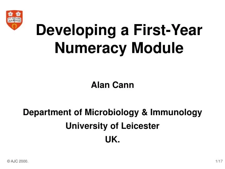 developing a first year numeracy module
