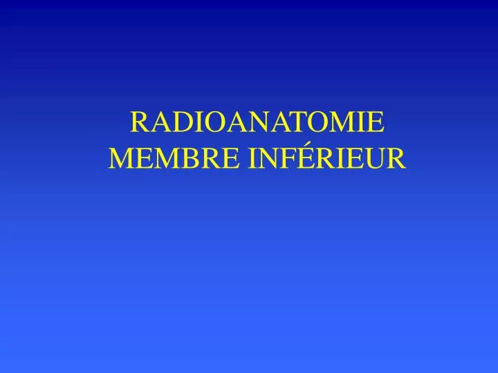 radioanatomie membre inf rieur