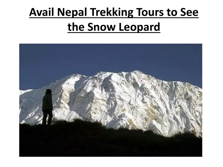 avail nepal trekking tours to see the snow leopard