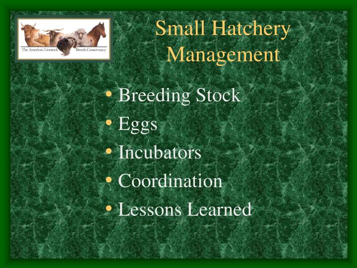 small hatchery management