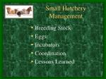 Small Hatchery Management - slide 1