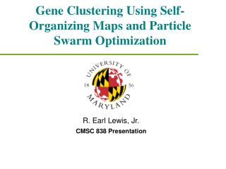 Gene Clustering Using Self-Organizing Maps and Particle Swarm Optimization