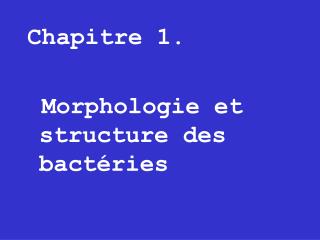 Chapitre 1. Morphologie et structure des bact é ries
