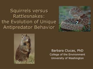 Squirrels versus Rattlesnakes: the Evolution of Unique Antipredator Behavior