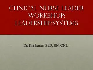 Clinical Nurse Leader Workshop: Leadership/Systems