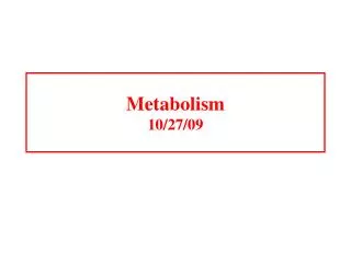 Metabolism 10/27/09