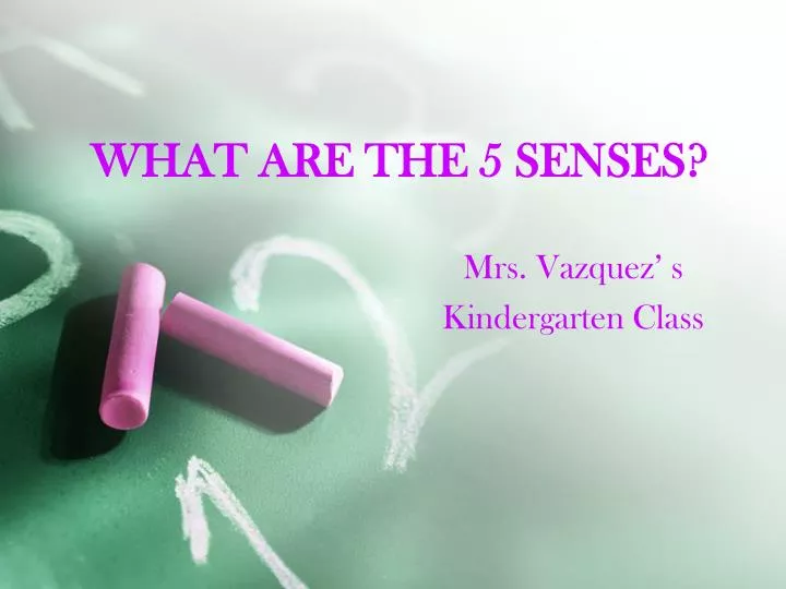 what are the 5 senses
