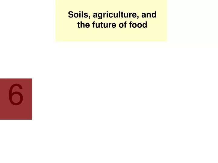 soils agriculture and the future of food
