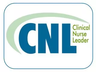 What is a Clinical Nurse Leader sm ?
