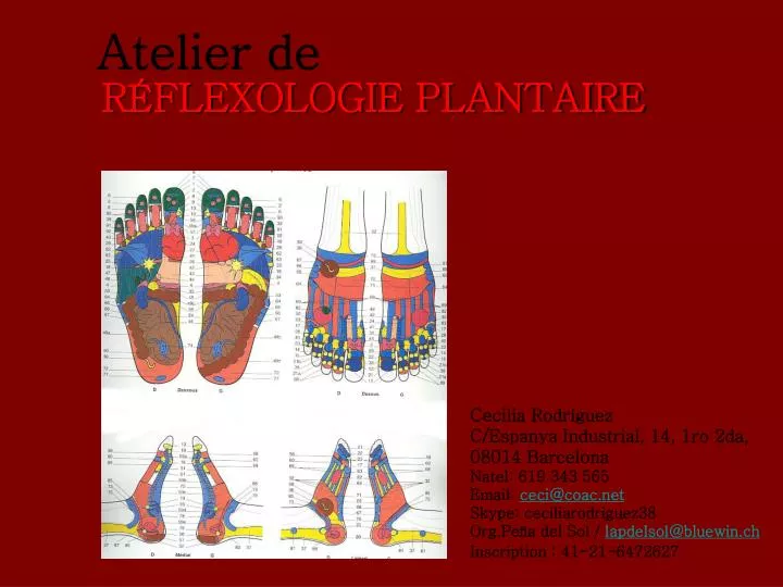 r flexologie plantaire