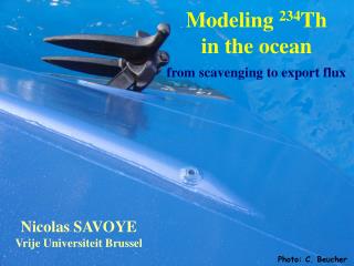 Modeling 234 Th in the ocean from scavenging to export flux