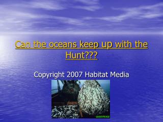 Can the oceans keep up with the Hunt???