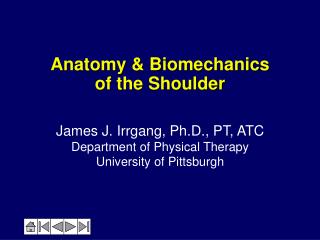 Anatomy &amp; Biomechanics of the Shoulder