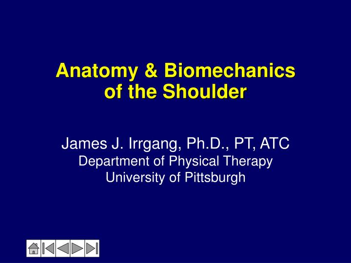 anatomy biomechanics of the shoulder
