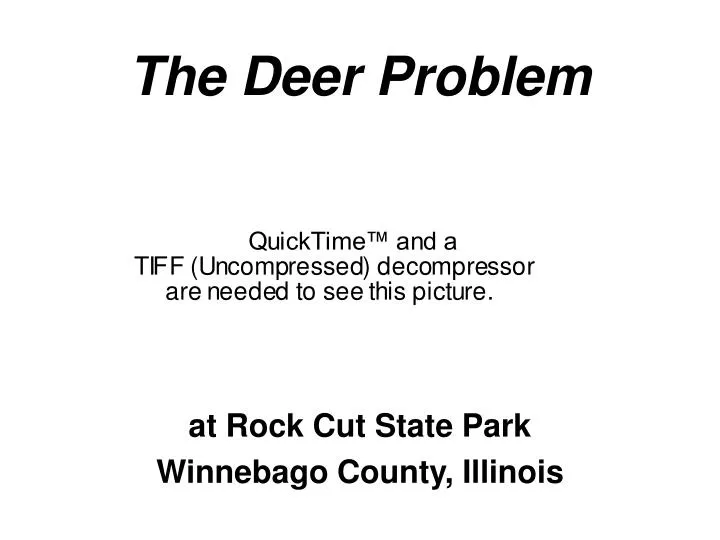 the deer problem