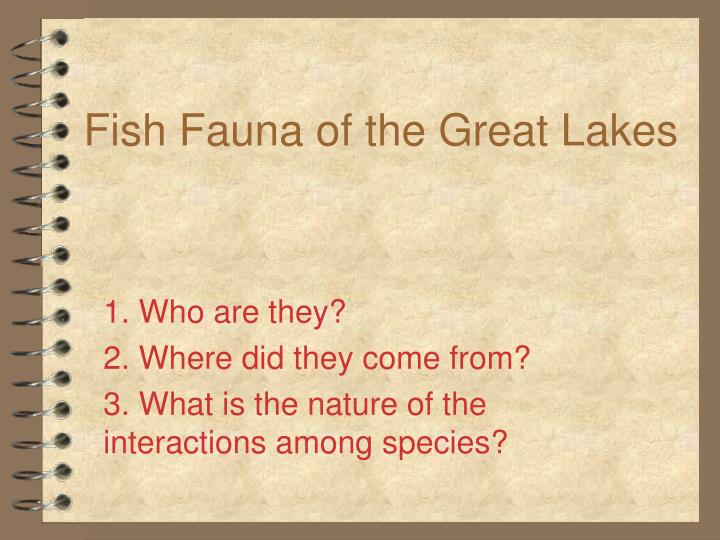 fish fauna of the great lakes