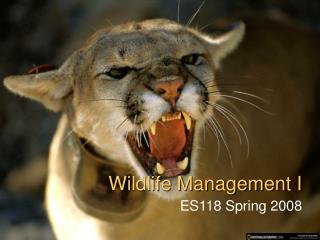 Wildlife Management I