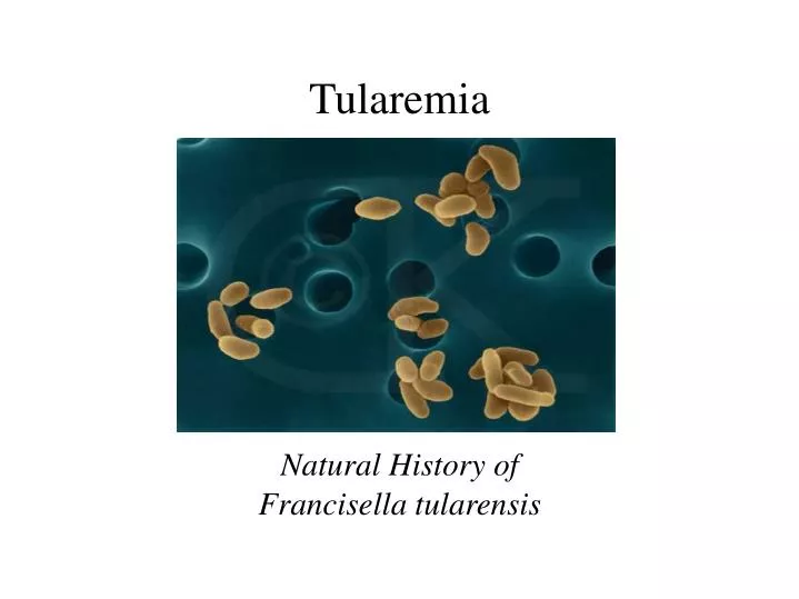 natural history of francisella tularensis