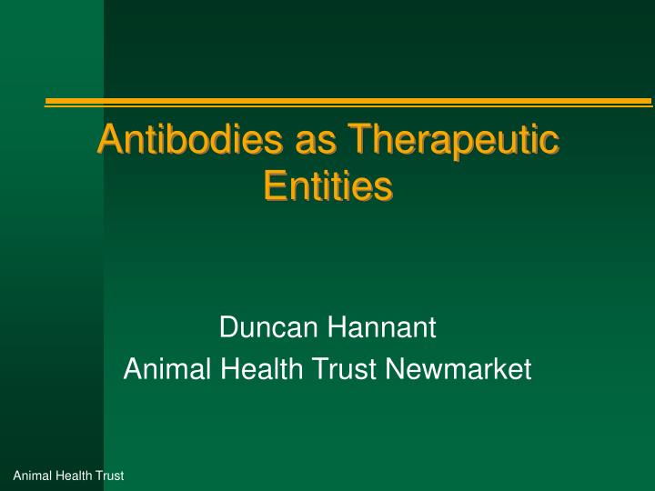 antibodies as therapeutic entities