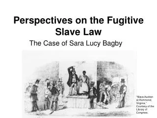 Perspectives on the Fugitive Slave Law