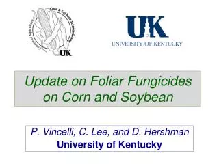 Update on Foliar Fungicides on Corn and Soybean