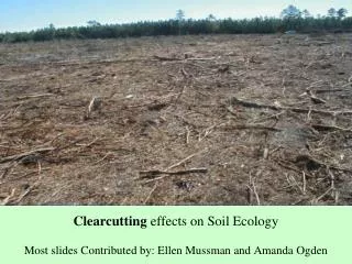 Clearcutting effects on Soil Ecology Most slides Contributed by: Ellen Mussman and Amanda Ogden